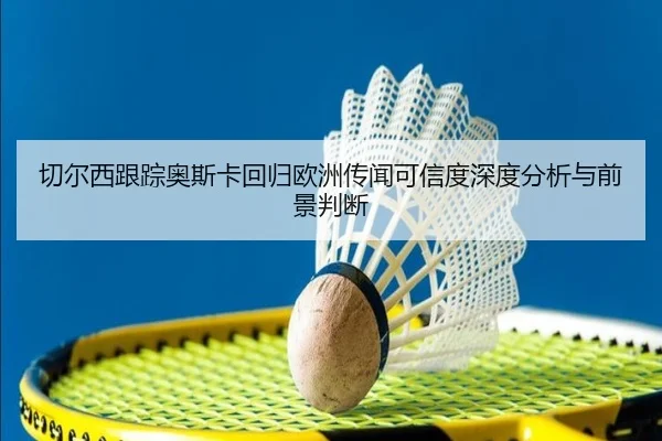 qie-er-xi-gen-zong-ao-si-ka-hui-gui-ou-zhou-chuan-wen-ke-xin-du-shen-du-fen-xi-yu-qian-jing-pan-duan-3-387.jpg
